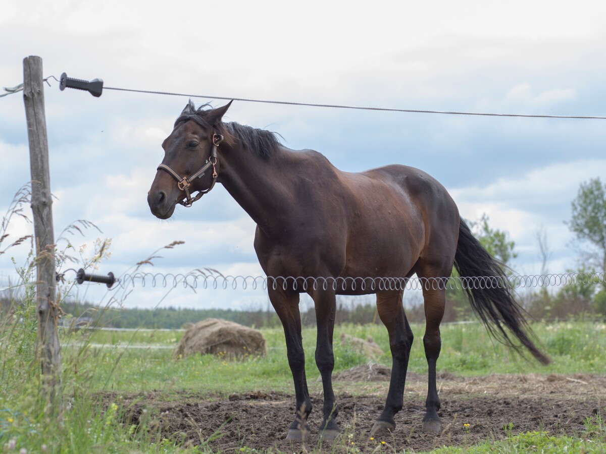 Maya Clars, Maya Clars, music video backstage