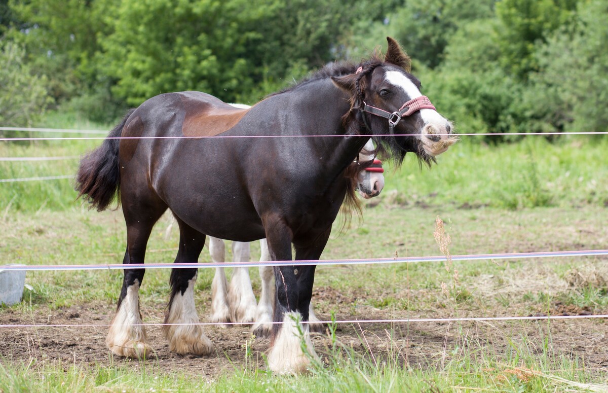 Maya Clars, Maya Clars, music video backstage