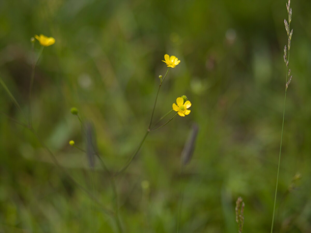 Maya Clars, Maya Clars, music video backstage