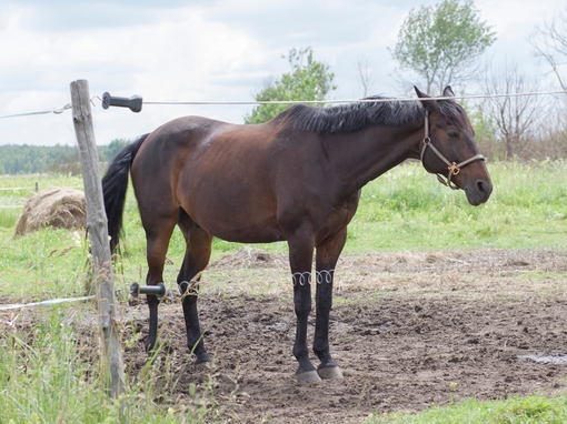 Maya Clars, music video backstage