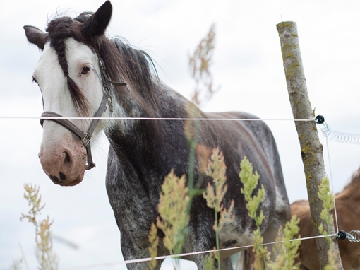 Maya Clars, music video backstage