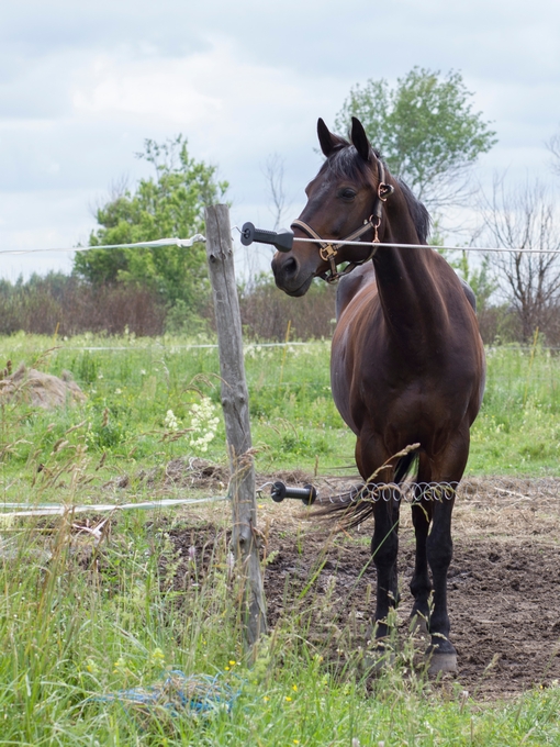 Maya Clars, music video backstage