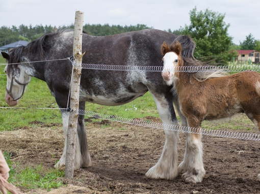 Maya Clars, music video backstage
