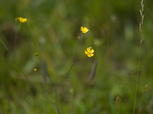 Maya Clars, music video backstage