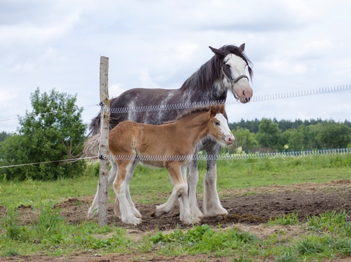 Maya Clars, music video backstage
