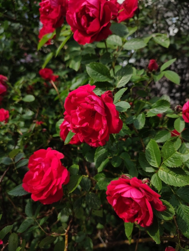 #music #audio #songs #song #music engineer #bandcamp #music studio #musician #music is life #beautiful photos 