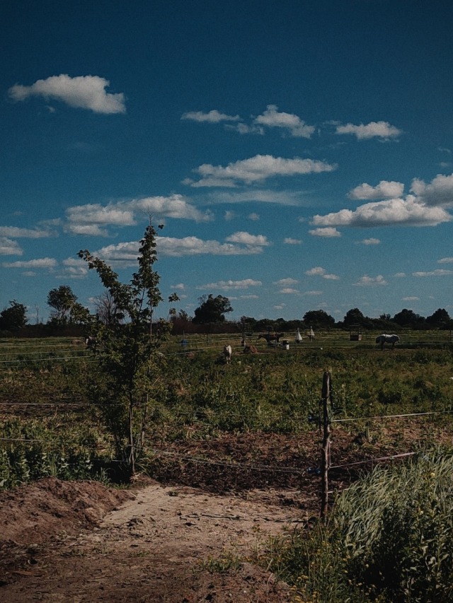 #photography #aesthetic #music 