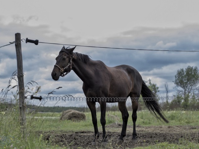 #music #audio #songs #song #lyrics #music video #music engineer #bandcamp #music studio 