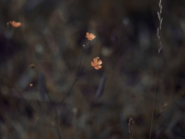 #music #audio #songs #song #lyrics #music video #music engineer #bandcamp #music studio 