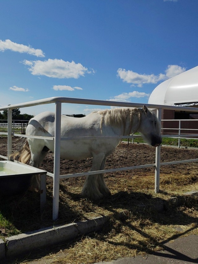 #music #audio #songs #song #lyrics #music video #music engineer #bandcamp #music studio 