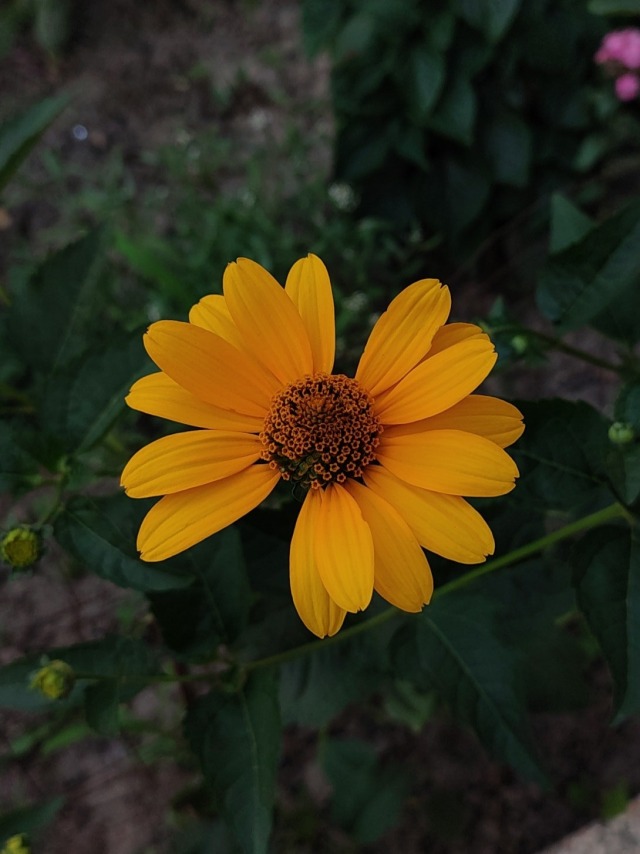 #music #audio #songs #song #lyrics #music video #music engineer #bandcamp #music studio 