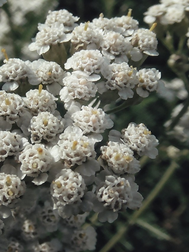 #bygone core #honest yesterdays #bygone core aesthetic #honest yesterdays aesthetic