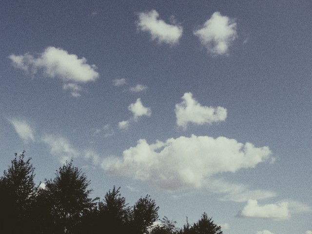 #nature #clouds #flowers