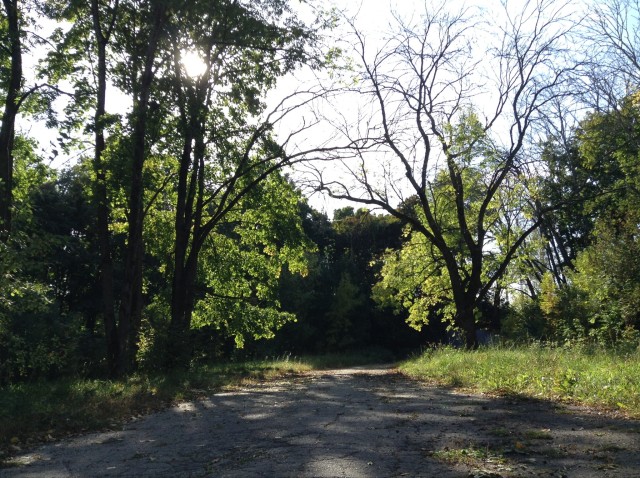 #nature #ipod touch #old iphone camera